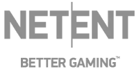 Mefruşat Pay logo